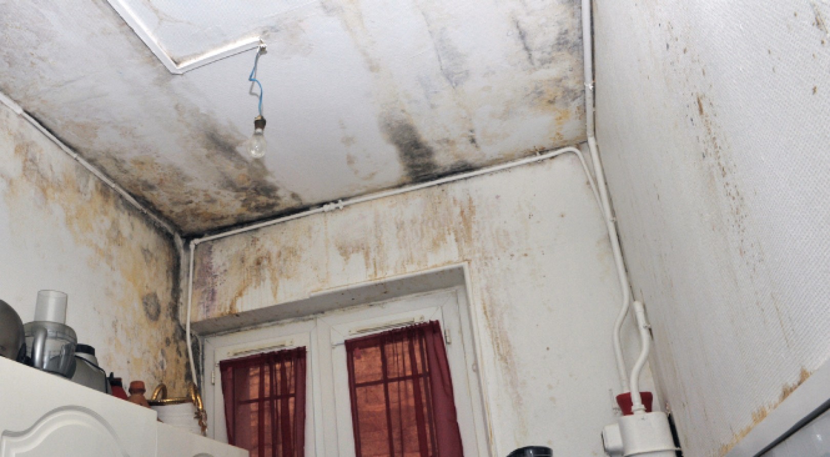 Combattre l'odeur d'humidité dans la maison