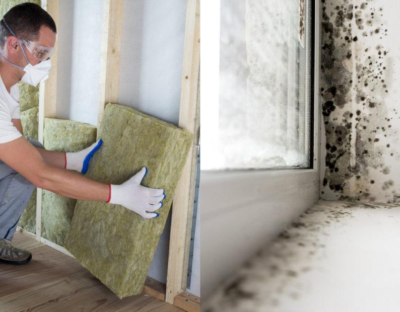Combattre l'odeur d'humidité dans la maison