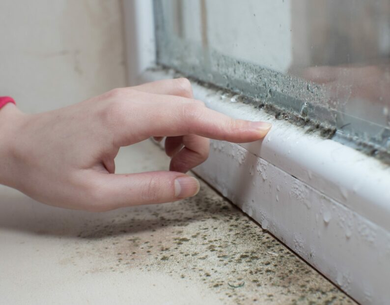 Le point de rosée élément essentiel pour comprendre la condensation — free download