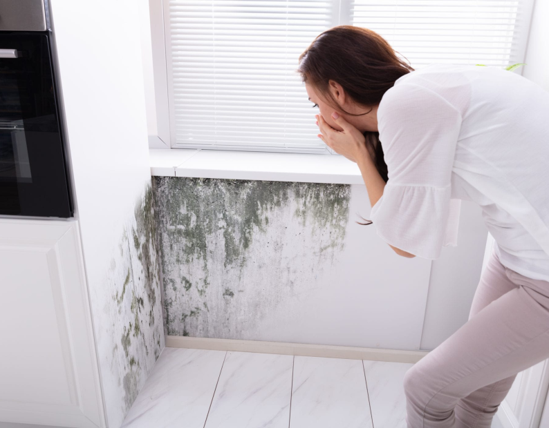 Taux d'humidité idéal dans la maison : comment le mesurer et le ...