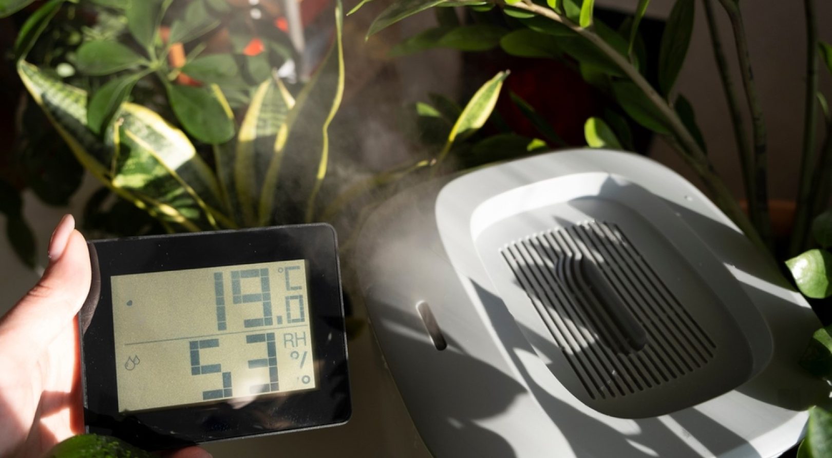 Taux d'humidité idéal dans la maison : comment le mesurer et le
