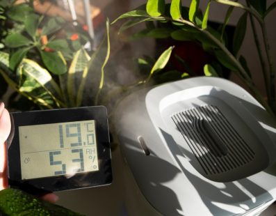 Taux d’humidité idéal dans la maison : comment le mesurer et le contrôler ?