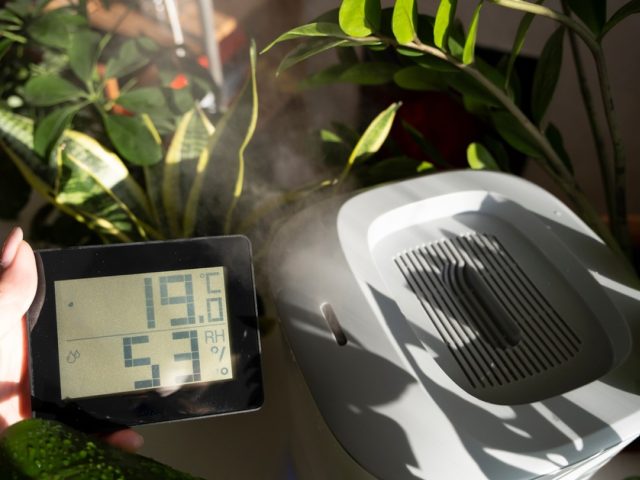 Taux d'humidité idéal dans la maison : comment le mesurer et le